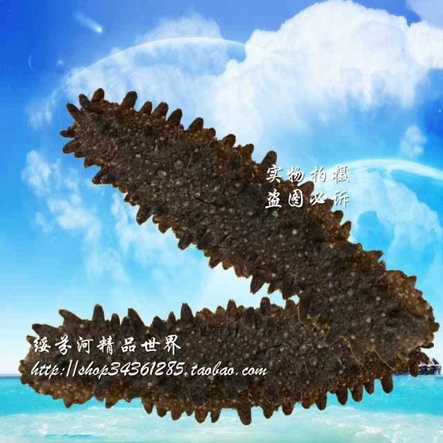 俄罗斯 淡干海参高品质15-20年野生刺参顶级红