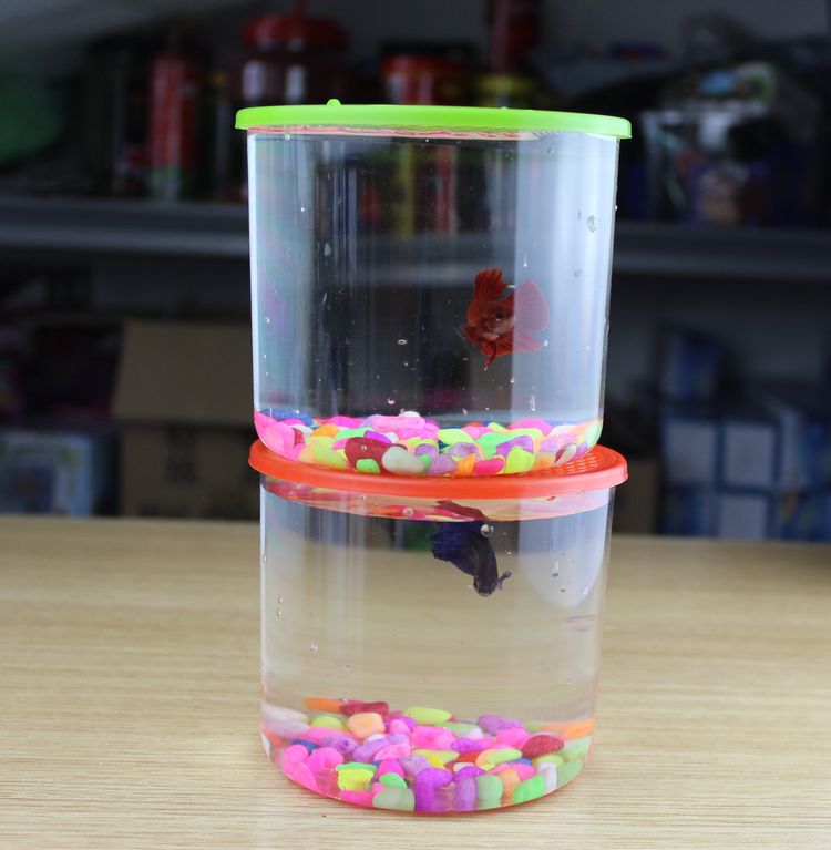 圆形塑料鱼缸 水族宠物 乌龟缸 斗鱼 昆虫活体