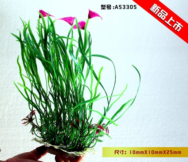 鱼缸水族箱子桌面鱼缸小型鱼缸造景背景装饰塑