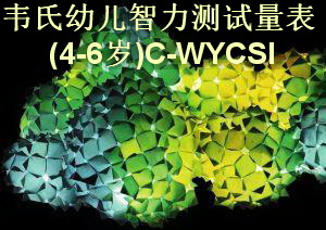 韦氏幼儿智力测试量表 IQ智力智商测试检测(4