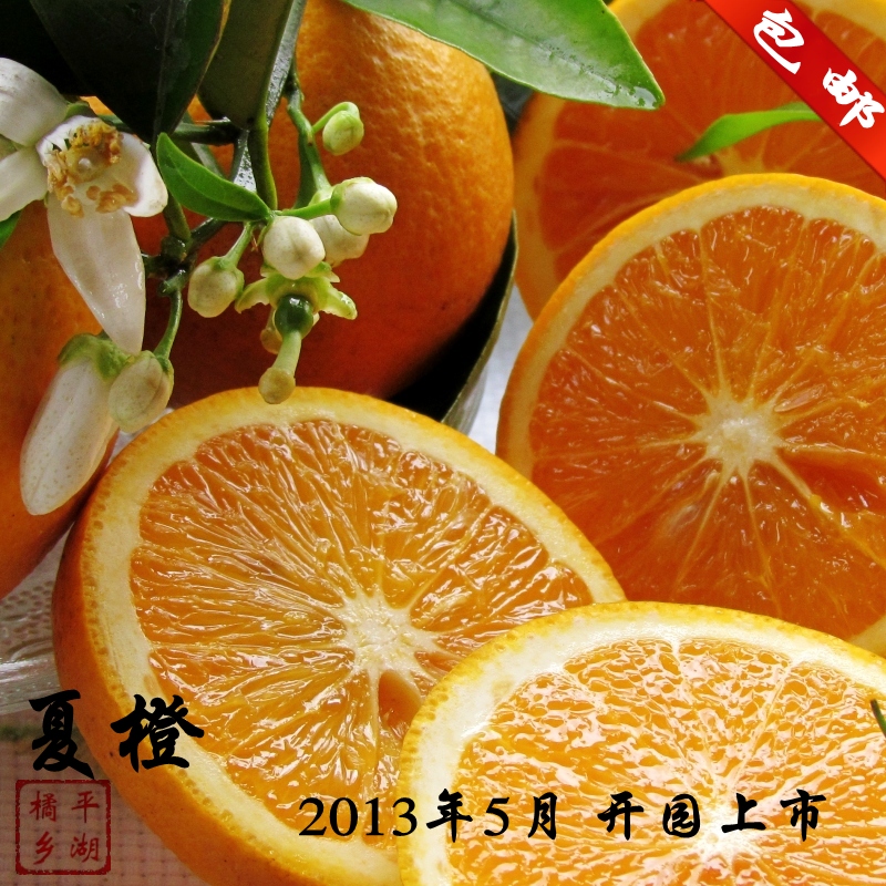 预售 夏橙5月上市 橙子 新鲜水果 秭归脐橙 果农