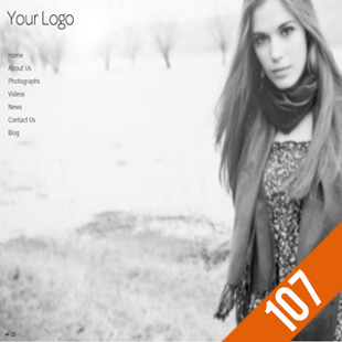 陈漫摄影网站,摄影公司工作室flash网站源码模