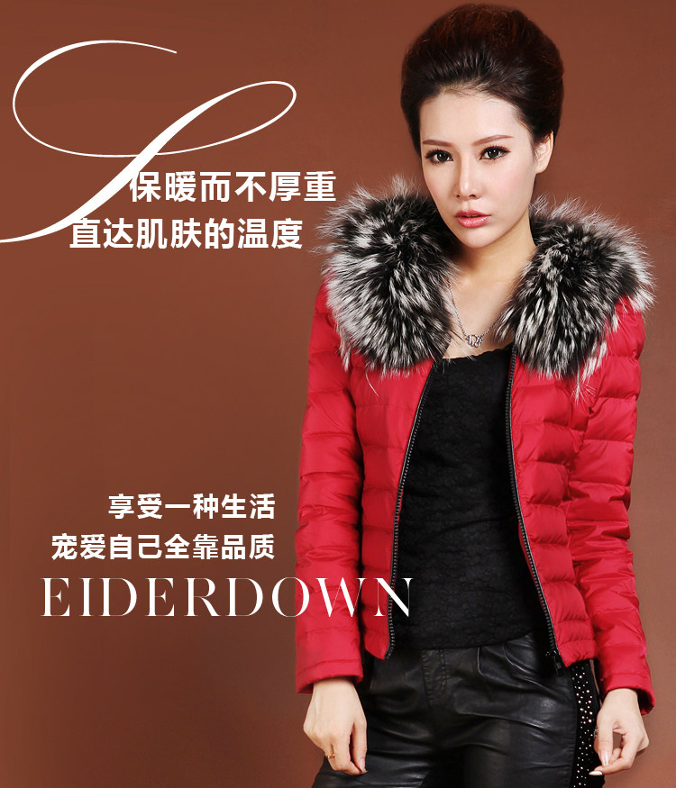 2013冬季艾莱依<em>羽绒服女正品清仓</em>短款修身新