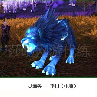 魔兽世界秒代抓猎人灵魂兽代抓灵魂兽抓宝宝电