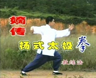 傅清泉 嫡传杨式太极拳教练法-传统杨氏85式教