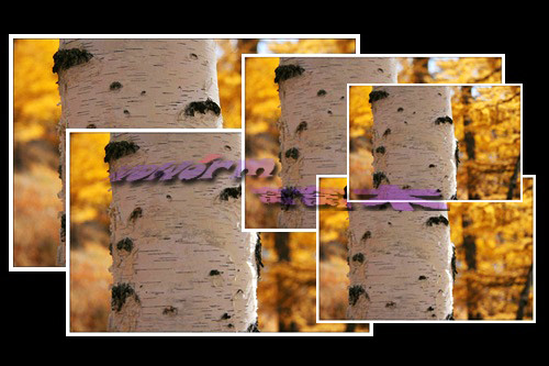 赴美签证照片冲洗照片\/照片冲印照片\/证件照相