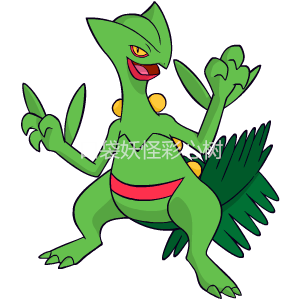 口袋妖怪XY闪光神兽5V6V对项满努力蜥蜴王 比