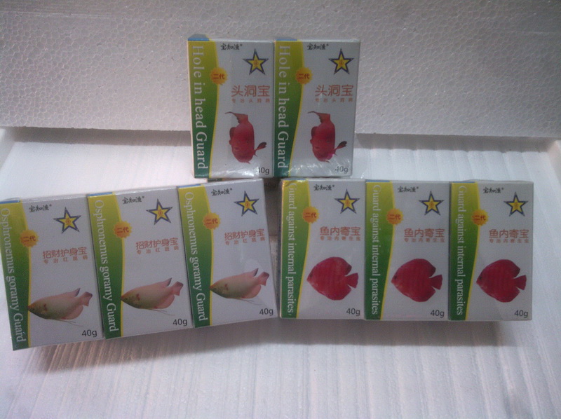 宝知渔 头洞宝二代 专治疗罗汉 鹦鹉 地图鱼头洞