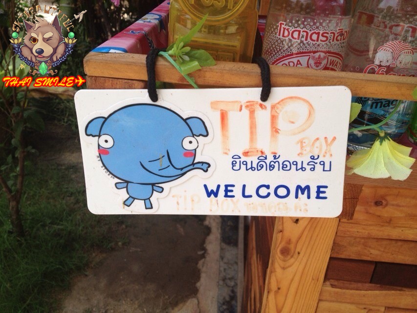 泰国 曼谷 清迈 芭堤雅 学生 泰语中文私人导游