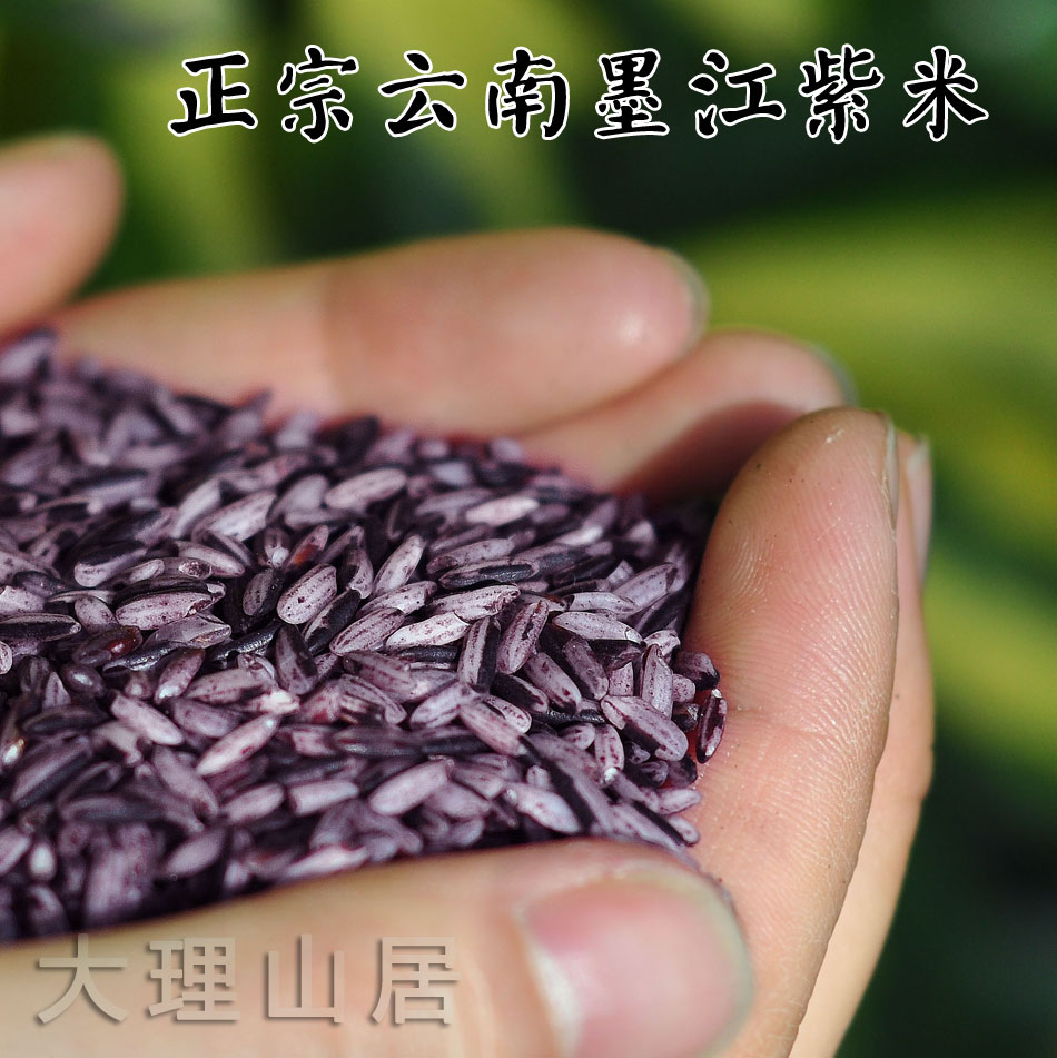 假一赔店 正宗老品种云南墨江紫米 14年最新米 血糯米非黑米 500g