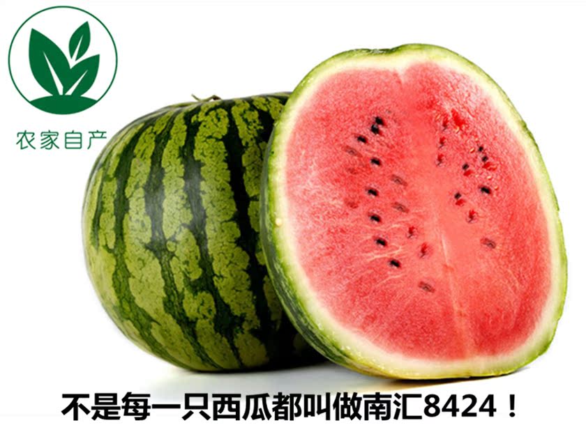 【农户直销】正宗南汇8424黑籽西瓜4只装 临