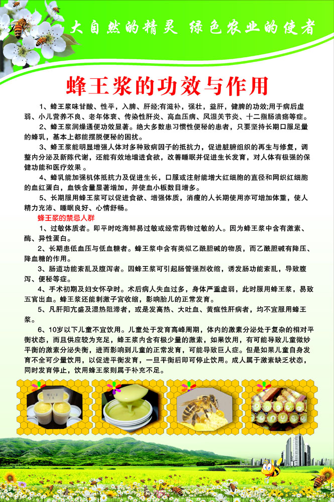 566海报印制海报展板素材638养蜂王浆的功效与作用