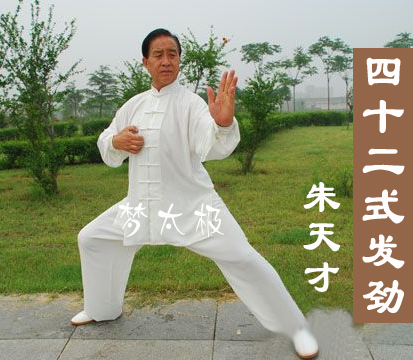 陈式太极拳42式发劲太极散手套路与实战教学 朱天才 2DVD|一淘网优惠购|购就省钱