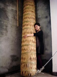 万两茶\/湖南安化黑茶\/世界茶王\/万两茶\/收藏\/送