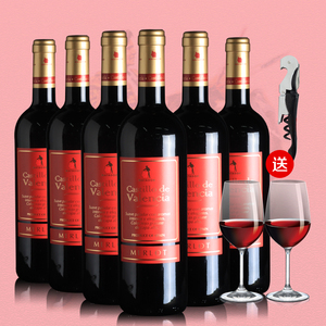 西班牙原瓶原装进口红酒 DO级别 马达特 六支