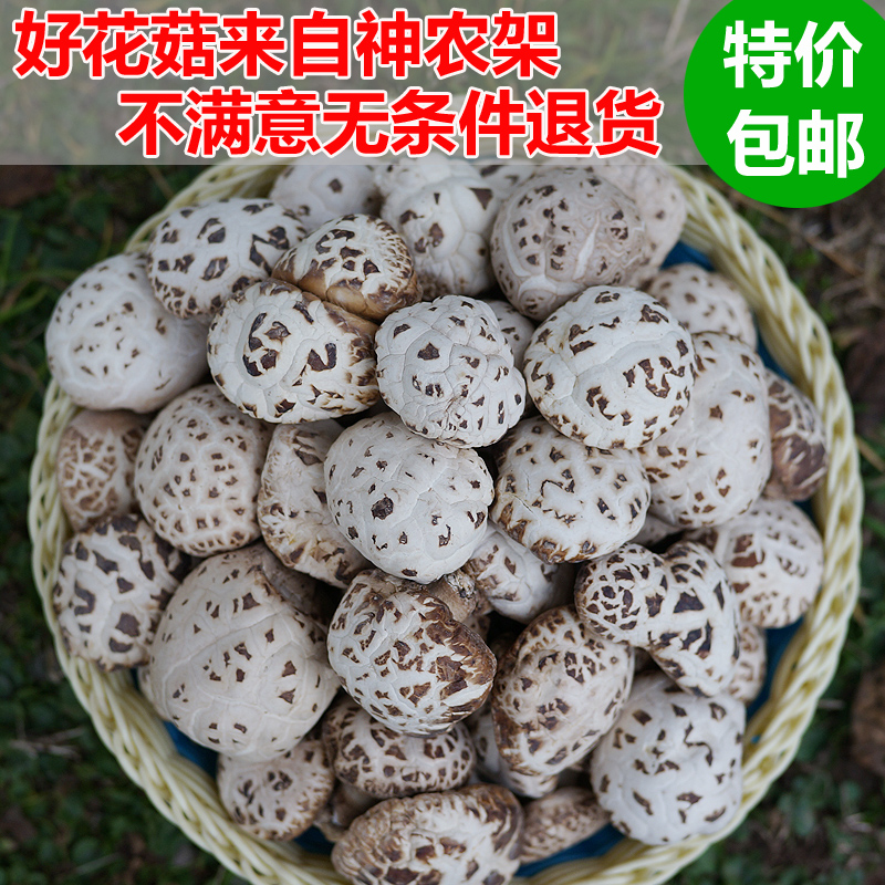神农架特产特级椴木花菇 白花菇 香菇干货 年货香菇250g冬菇包邮