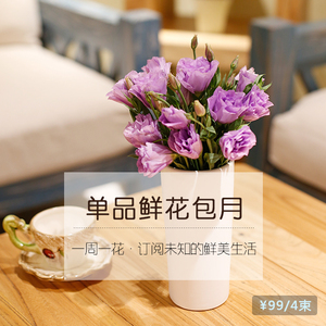订阅鲜花一周一花 家庭混搭鲜花包月周期送花