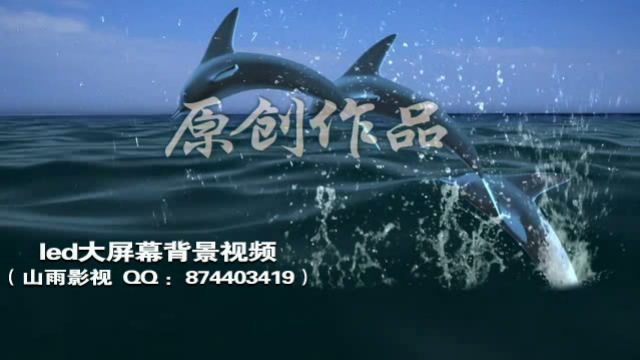 473 海豚素材 海洋婚礼海面背景 婚庆素材 流行