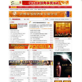 广告宣传信息门户网站建站源码asp网站源码A