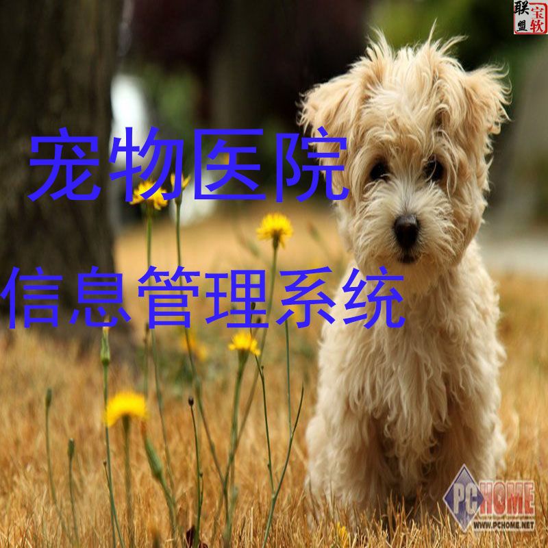 宠物医院管理系统 宠物店 宠物药品销售管理软