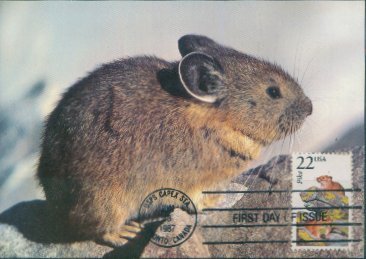 PA4158美国1987州动物北美鼠兔极限片见详注