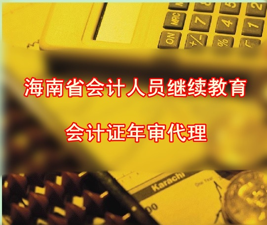 海南省会计人员继续教育 会计证年审|一淘网优