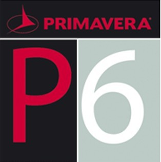 工程项目管理软件primavera project planner P3