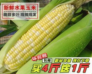 广西特产新鲜现摘水果玉米甜玉米非转基因新鲜