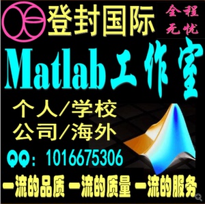 matlab代写程序代做矩阵变换器\/留学生\/电气自