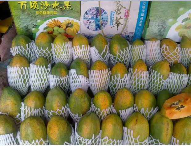 南沙新垦特产红肉木瓜;运输安全。可以存放7天