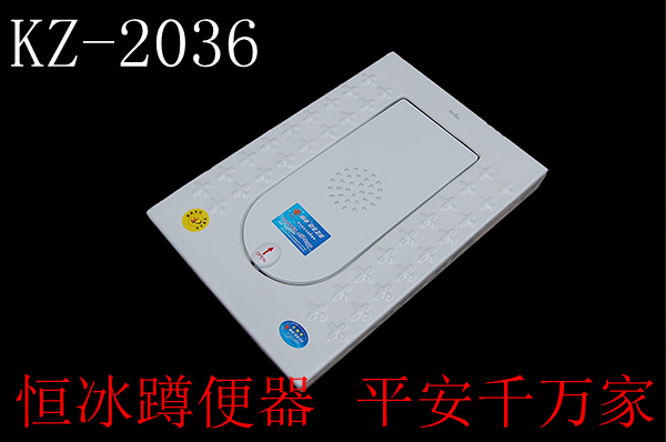 带盖 隐形 翻盖式 蹲便器 水箱 整套 蹲坑厕 大便器 便盆池 马桶