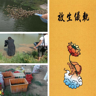店内活动照片参与(送放生仪轨书籍)