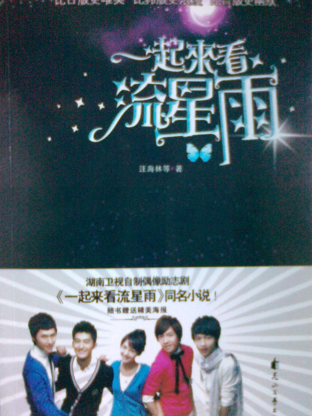 一起来看流星雨(电视剧原版小说)|一淘网优惠购