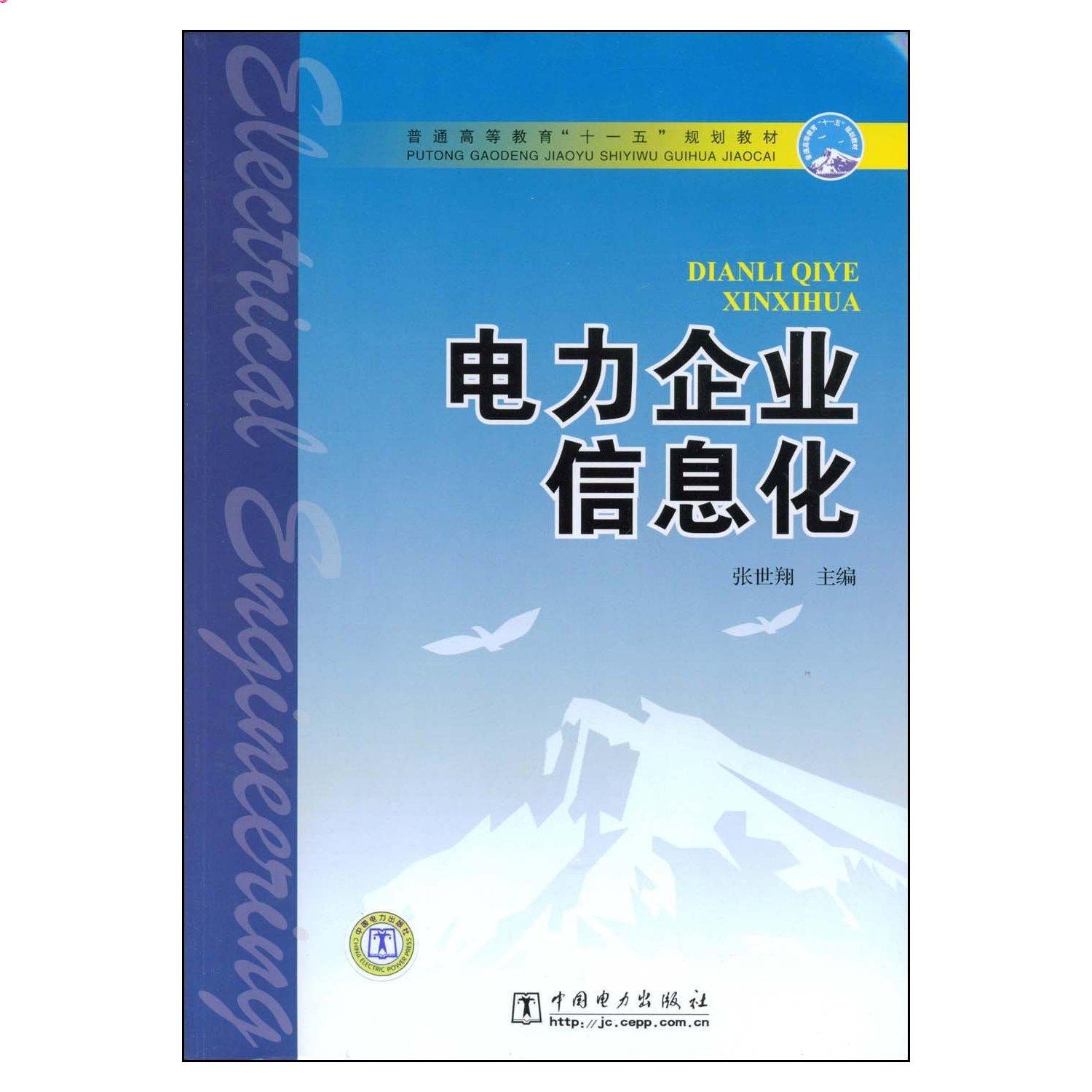 正版书电力企业信息化/普通高等教育十一五规划教材