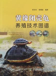 黄缘闭壳龟养殖技术图谱优惠价49.92元,黄缘闭