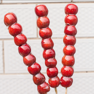 北京冰糖葫芦串 新鲜山楂糖葫芦十二串顺丰包