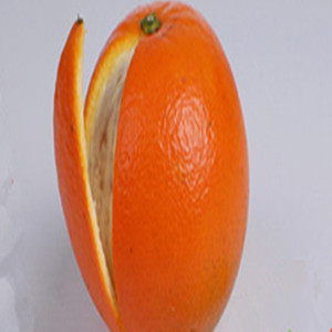 令新鲜水果 正宗赣南脐橙原产地橙 脐橙 橙子精