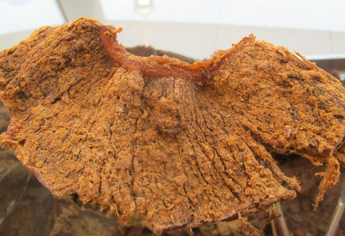 牛魔王牛肉干片 牛肉脯 牛魔王牦牛肉 250g|一