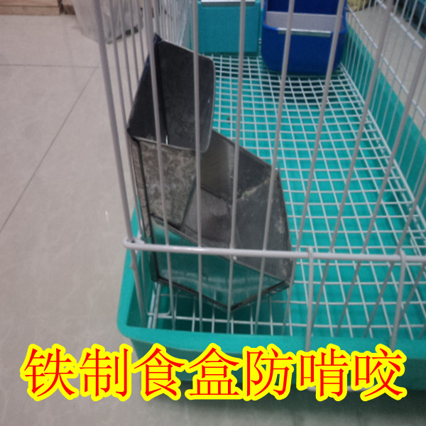 荷兰猪食盒 兔食盒 豚鼠食槽 兔自动喂食器 龙猫