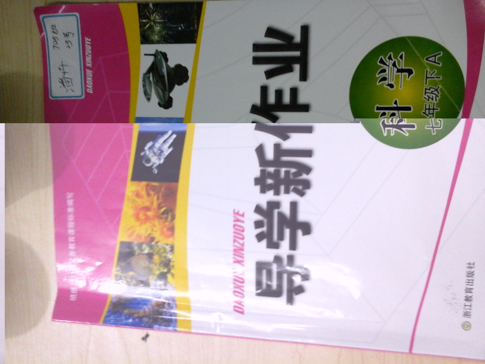 答案!浙教版七年级下册科学导学新作业答案|一