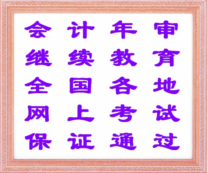 华夏会计 2013年海南省会计继续教育 会计证年
