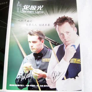 北极光英式斯诺克台球杆 黑8十六彩桌球杆小头