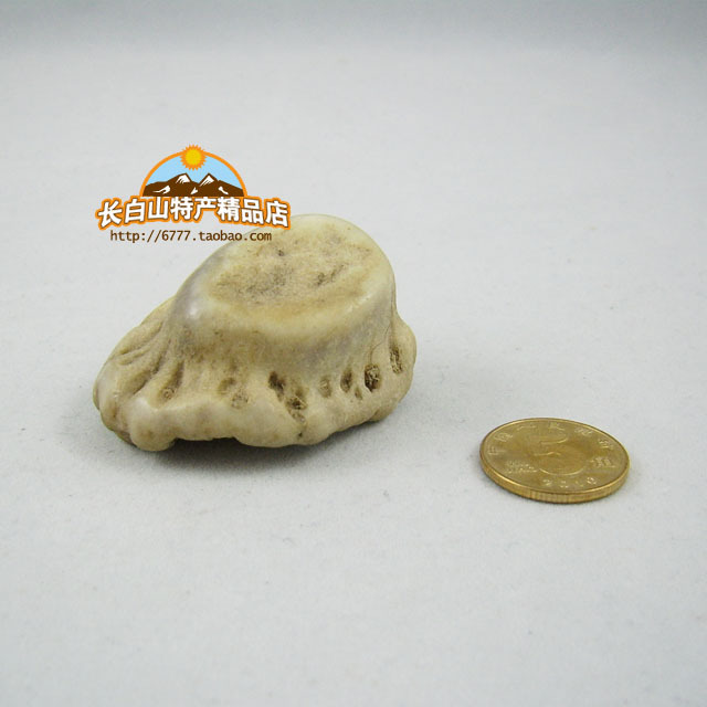 长白山参茸 特产 纯梅花鹿鹿角帽鹿角盘鹿脱盘