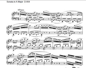 舒伯特 .A大调第十三钢琴奏鸣曲 Op.120 第三乐