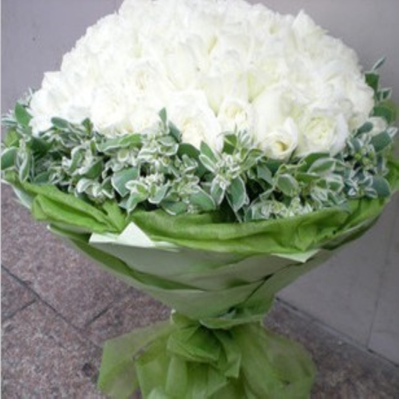 花店石嘴山鲜花端午节鲜花预订99朵白玫瑰|一