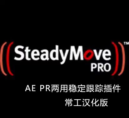 AE PR两用稳定跟踪插件 2D3 SteadyMovePro