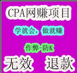 最新CPA广告联盟网赚项目 CPA软件 自动注册