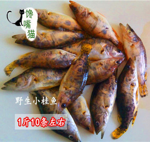 丹江口水库鱼 桂鱼新鲜鳜鱼淡水鱼野生鱼 1斤