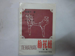 梅花桩续集 (武术.技击步法.上盘练习.棍法剑法