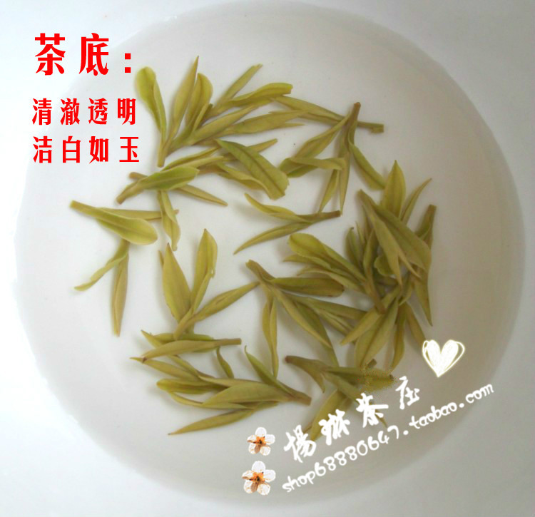 茶叶白茶特级溧阳天目湖白茶新茶珍稀包邮绿茶高档有机茶叶